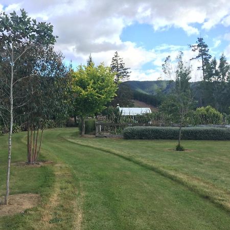 Birch Hill Cottage -30 Minutes From St Arnaud Wairau Valley المظهر الخارجي الصورة