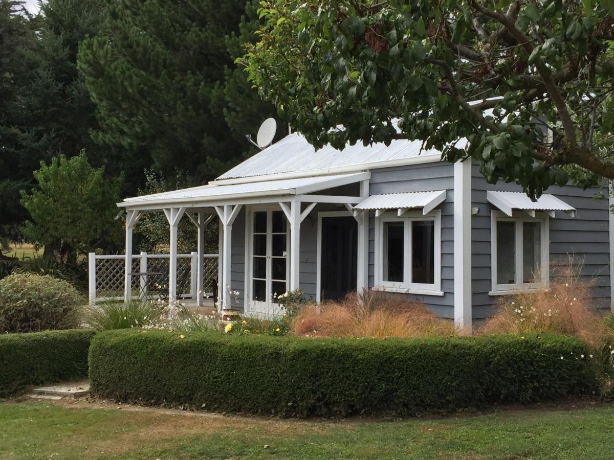 Birch Hill Cottage -30 Minutes From St Arnaud Wairau Valley المظهر الخارجي الصورة