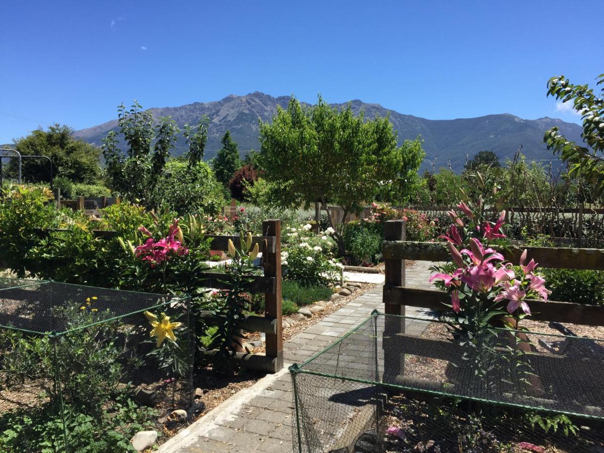 Birch Hill Cottage -30 Minutes From St Arnaud Wairau Valley المظهر الخارجي الصورة