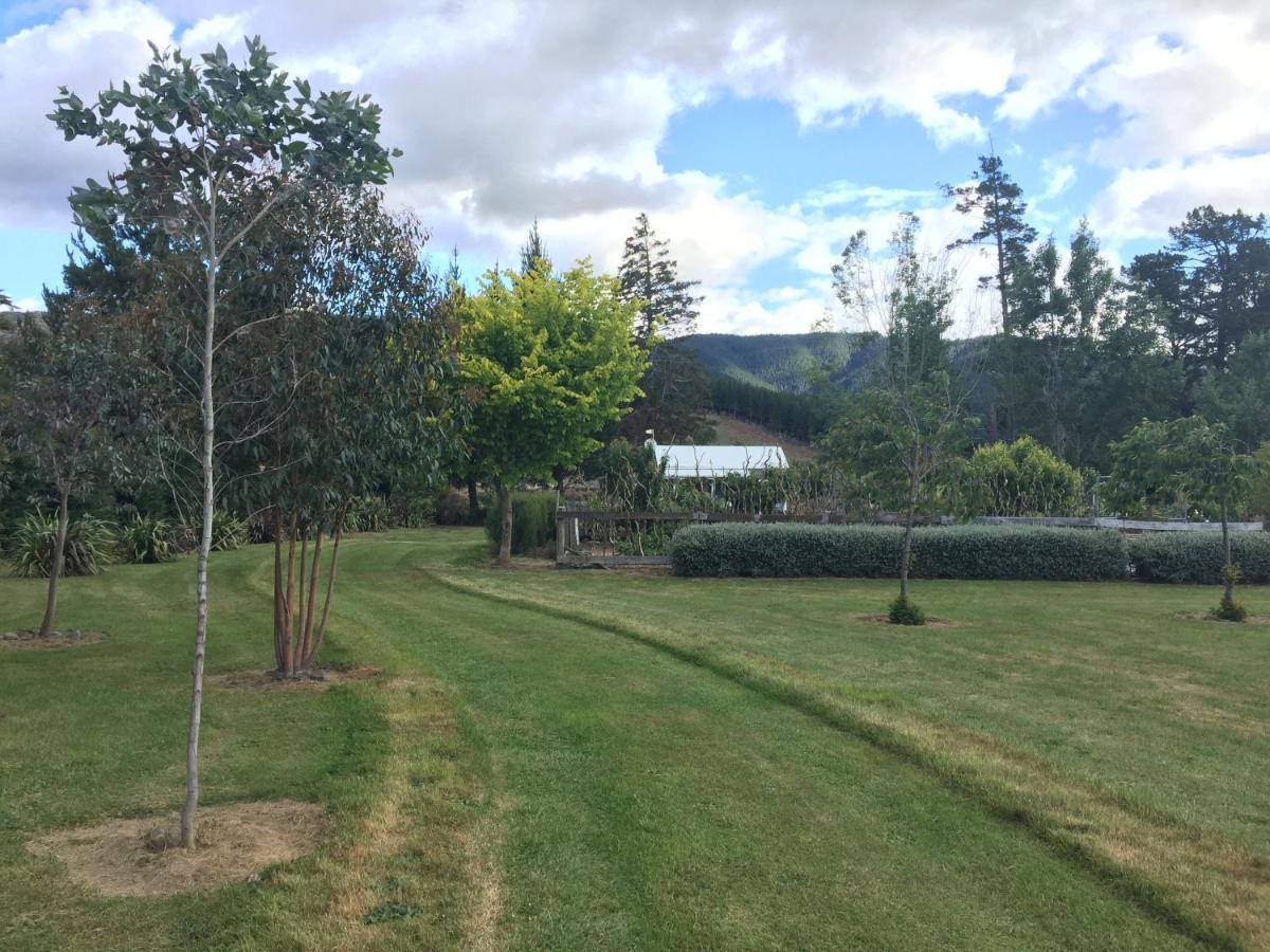 Birch Hill Cottage -30 Minutes From St Arnaud Wairau Valley المظهر الخارجي الصورة
