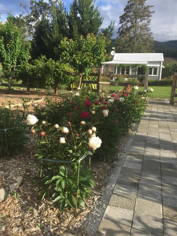 Birch Hill Cottage -30 Minutes From St Arnaud Wairau Valley المظهر الخارجي الصورة